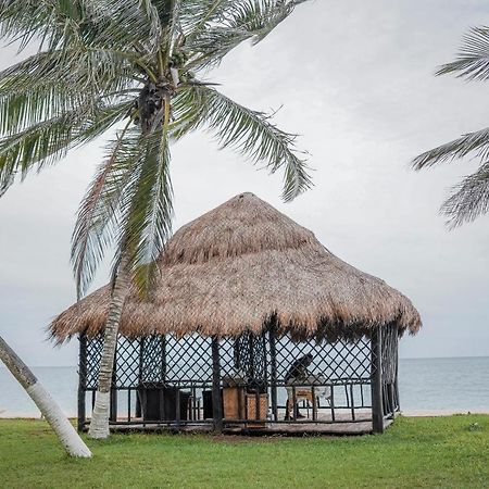 Reef Yucatan All Inclusive & Convention Center 메리다 외부 사진