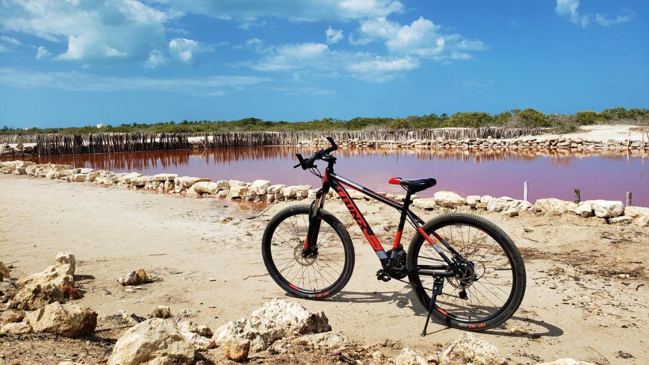 Reef Yucatan All Inclusive & Convention Center 메리다 외부 사진
