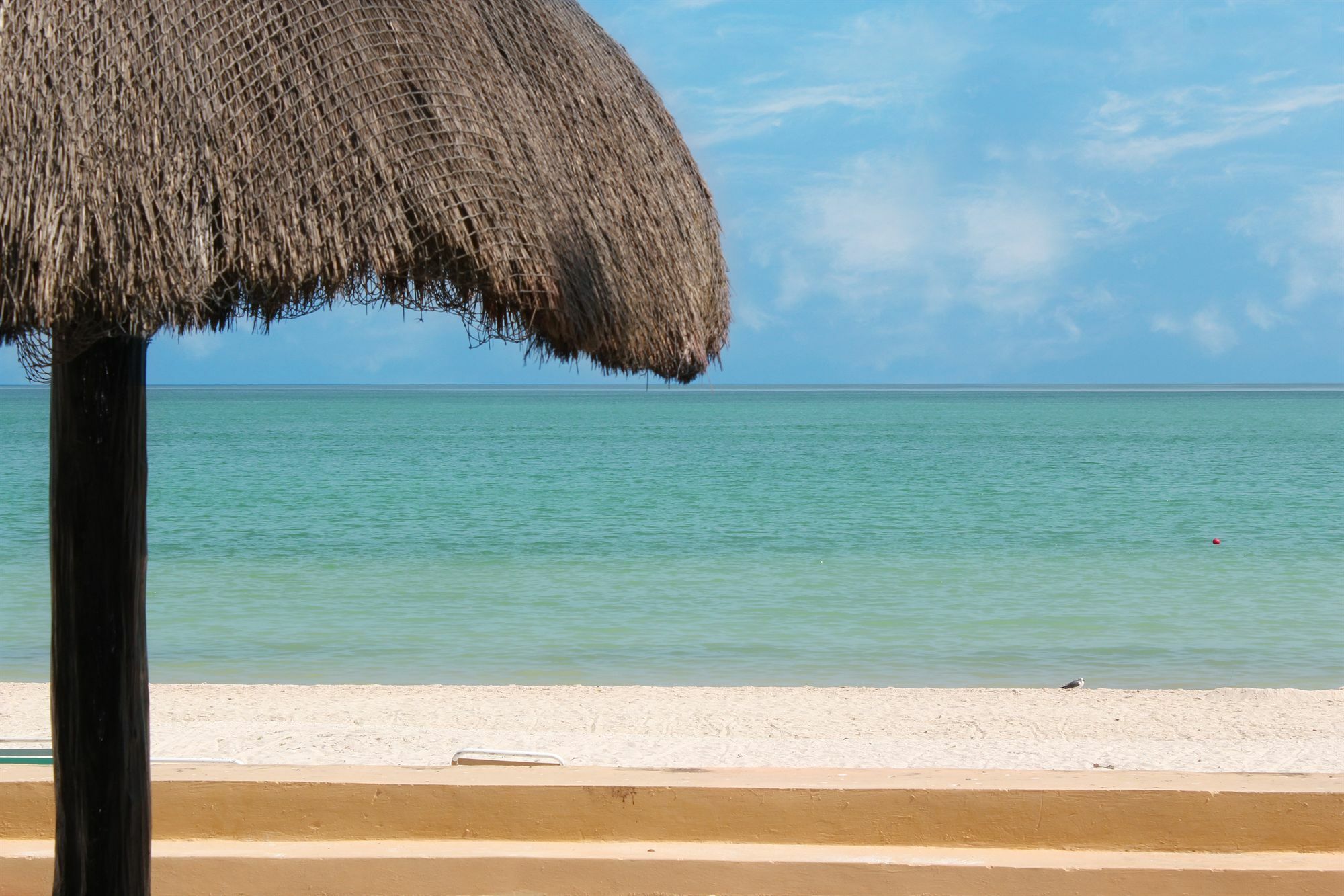 Reef Yucatan All Inclusive & Convention Center 메리다 외부 사진